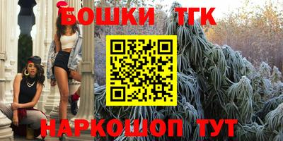 гидропоника Можга